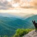 10 Best Mountain Towns to Visit in North Carolina, According to Local Experts