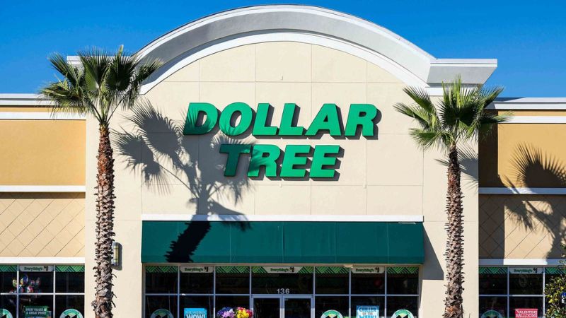 8 Kitchen Items You Should Buy at Dollar Tree To Save Money In 2024