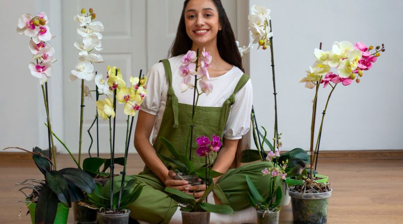 8 Types of Orchids to Use as Houseplants