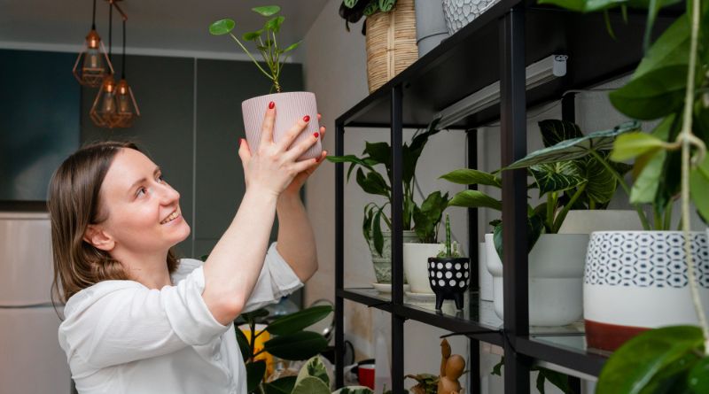 A Detailed Guide to Styling Your Plant Shelf in the Happy Houseplants Way